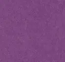 Berry