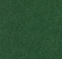 Oregano