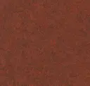 Peppercorn