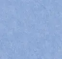 Periwinkle