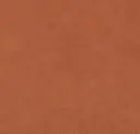 Terra Cotta