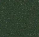 Deep Pine