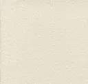 Blank Page