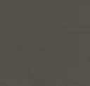 Iron
