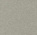 Flint Grey