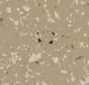 Celery Cd