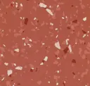 Terracotta Cd