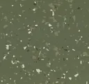 Moss Cd