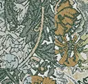 Ivy