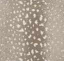 Pebble