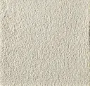 Bone