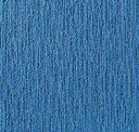 Blue Jay