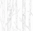 Birch