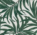 Palm