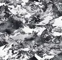 Mono