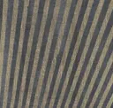Dias