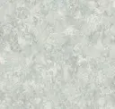 Frost