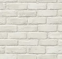 Dove