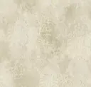 Parmesan