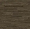 Shitake