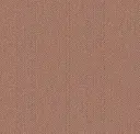 Burnt Sienna