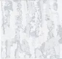 Artic