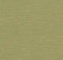 Pistachio