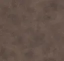 Mule