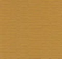 Sahara