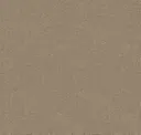 Cocoa