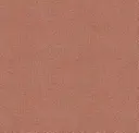 Salsa