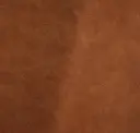 Spice