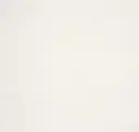 Cool Porcelain White