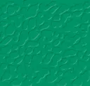 D25