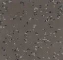 8806