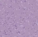 8861