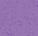 8862