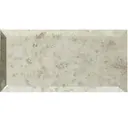 Antique Mirror