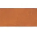 Orange Burst