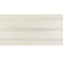 Stria Maestro