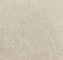 Notable Beige