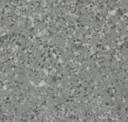 Suede Gray Speckle