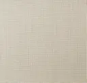 Eggshell