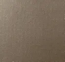 Iron