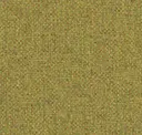 Green Multi