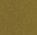 Dark Mustard
