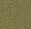 Bengali Green