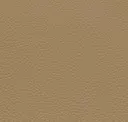 Camel Hair