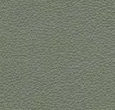 Celadon