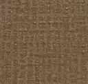 Nutmeg